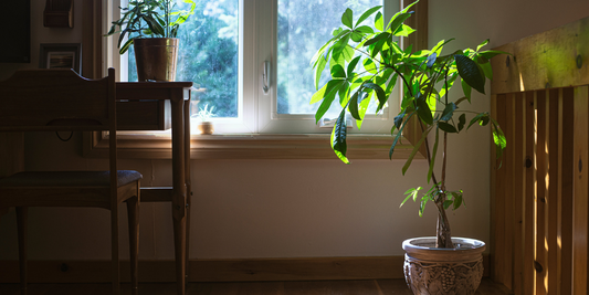 Do air purifiers help with dust?